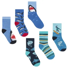 Boys 3 Pack Design Socks - Sharks - (42B571)
